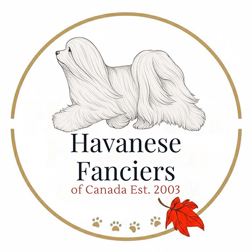 Havanese Fanciers of Canada